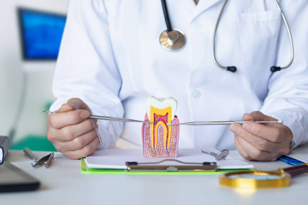 Best Urgent Care for Lost Fillings or Crowns in Solomons, MD